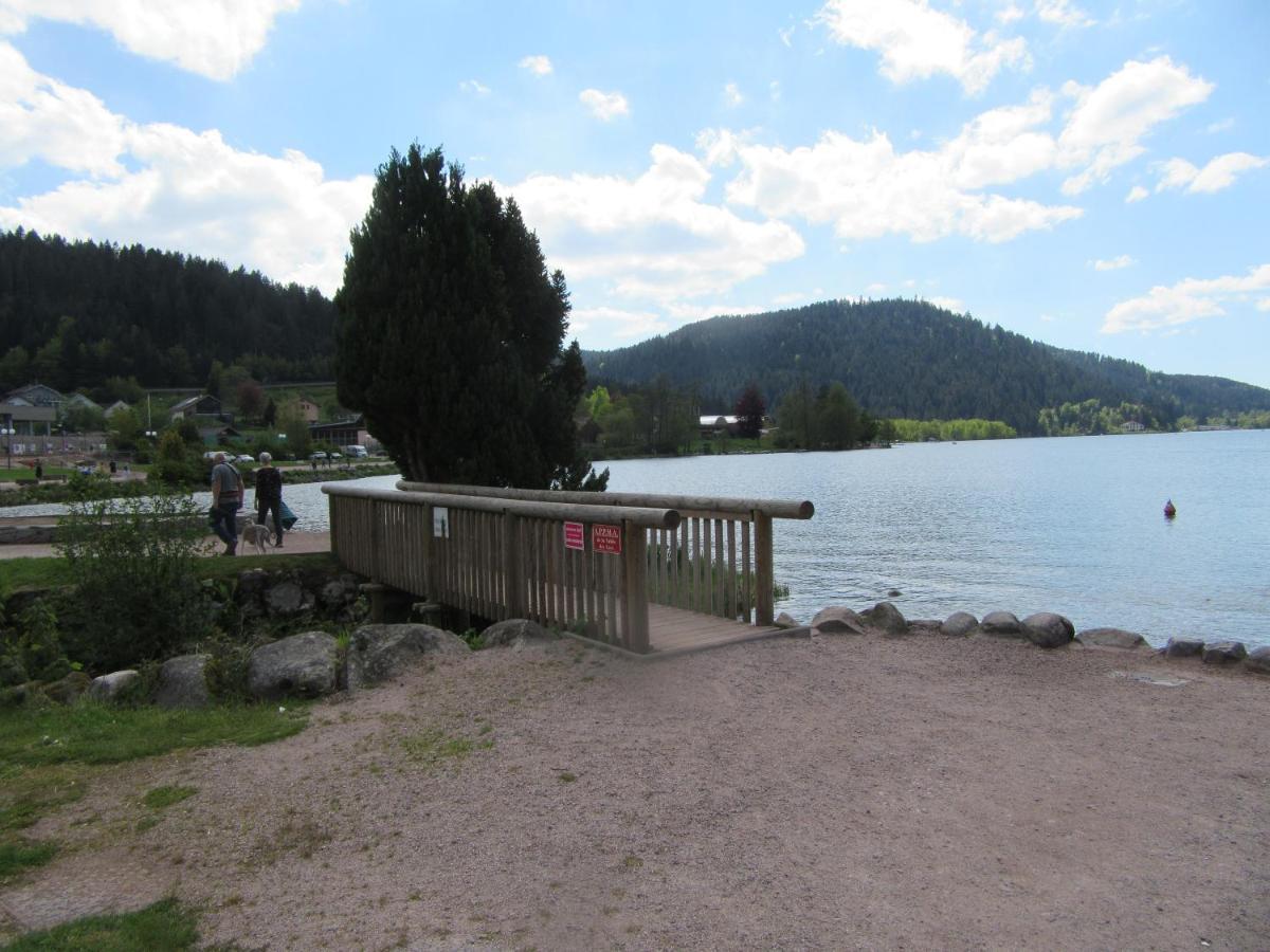 Appartement Les Balcons De La Chalande Le Tholy Gerardmer, Jardin,Balcon, Terrasse, Bagian luar foto